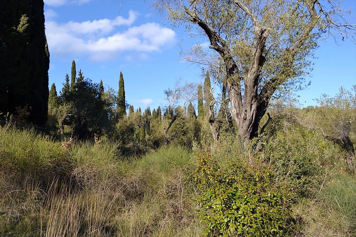 Terreno a Corfù, Grecia, 8 000 m2 - foto 18