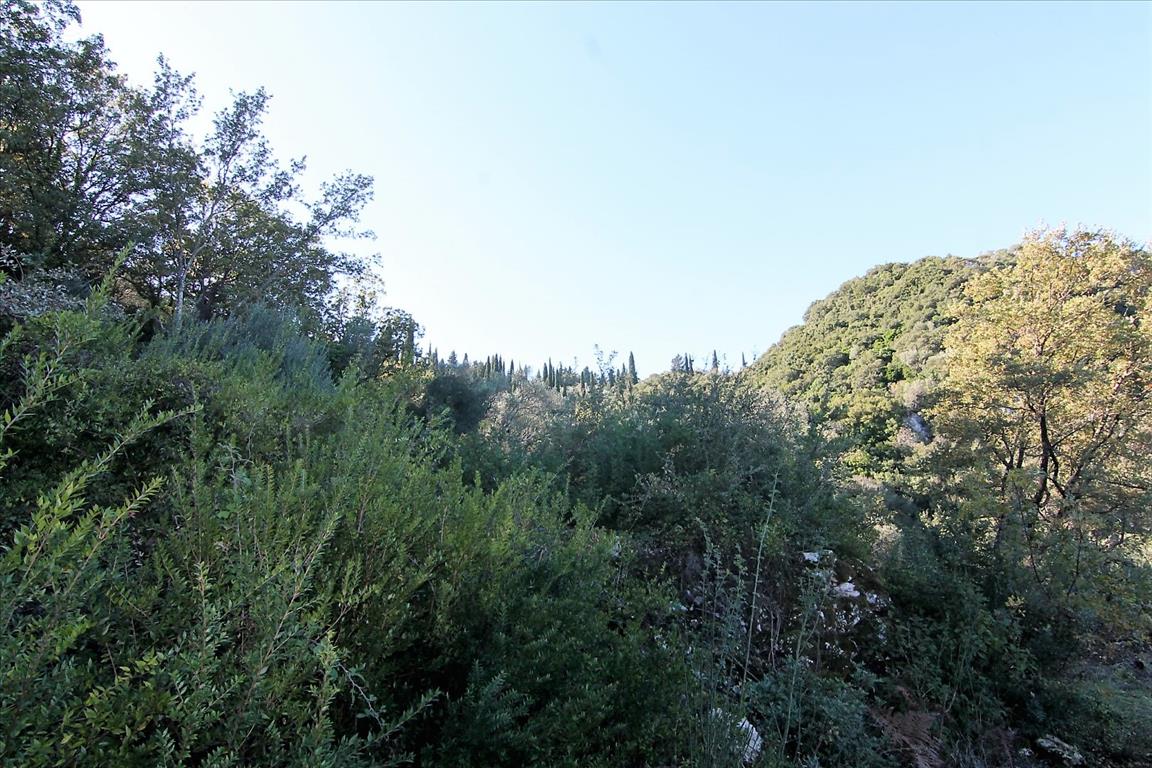 Land in Corfu, Greece, 9 000 m² - picture 18
