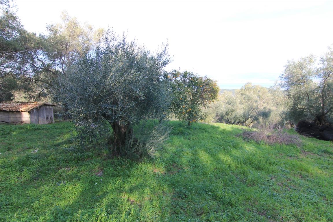 Casa a Corfù, Grecia, 130 m² - foto 18