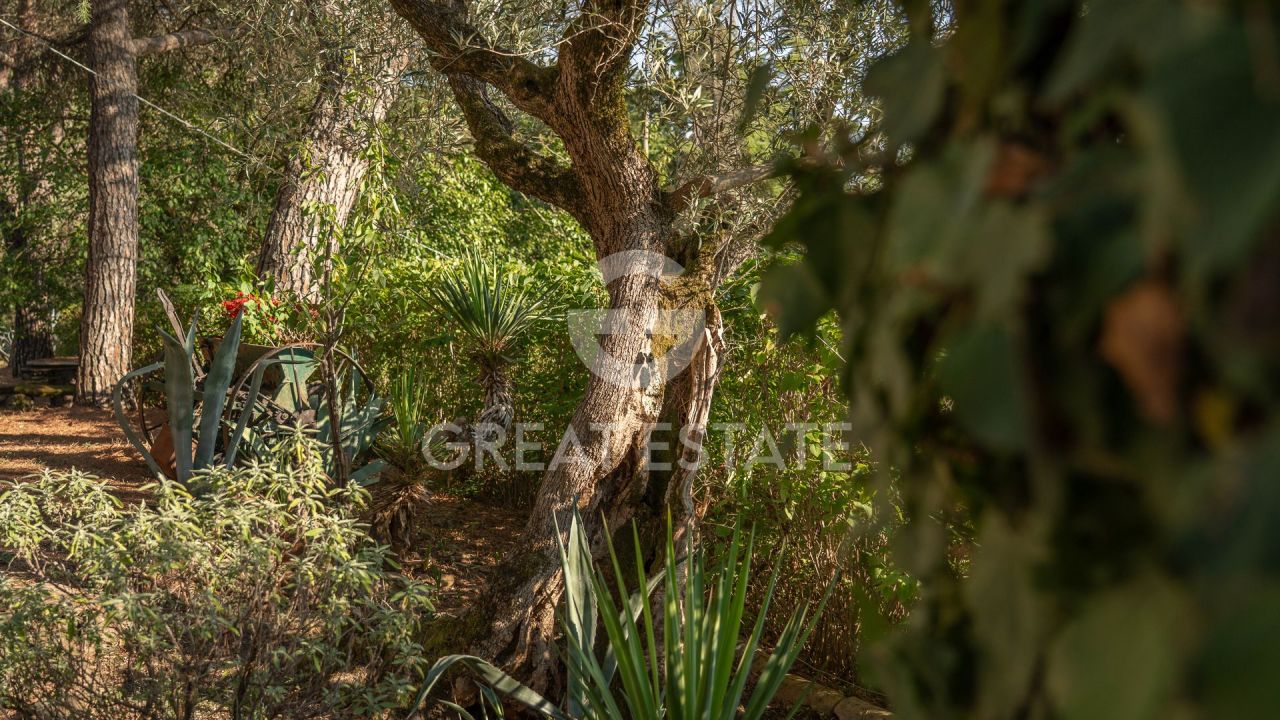 Haus in Magione, Italien, 274.6 m² - Foto 8