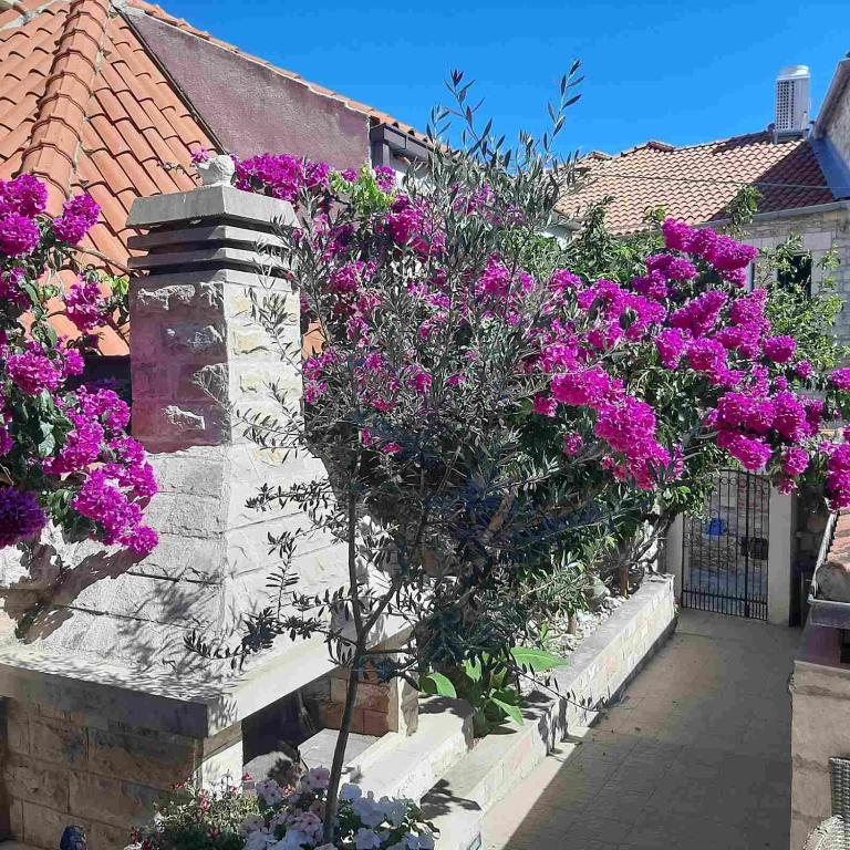 Hotel Supetar, Croacia, 450 m² - imagen 9