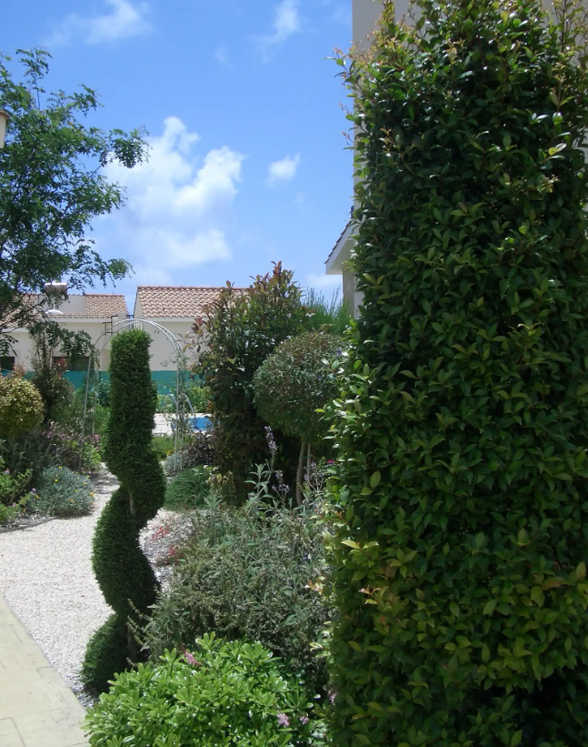 House in Kouklia, Cyprus, 160 m² - picture 2