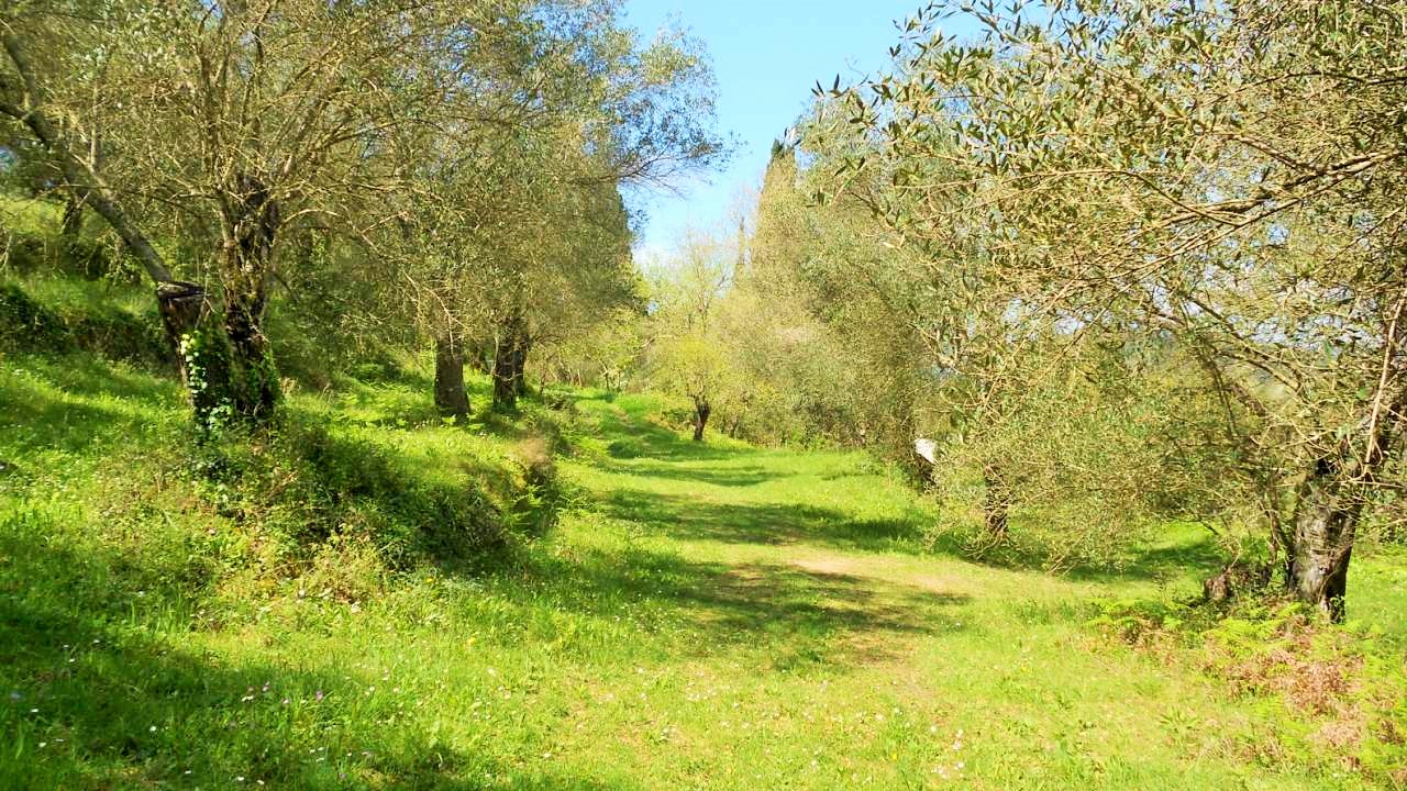 Terreno en Corfú, Grecia, 10 500 m² - imagen 1
