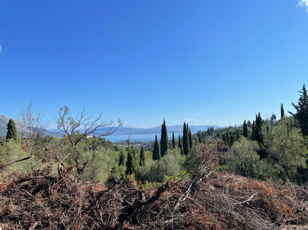 Land in Corfu, Greece, 4 100 m² - picture 1