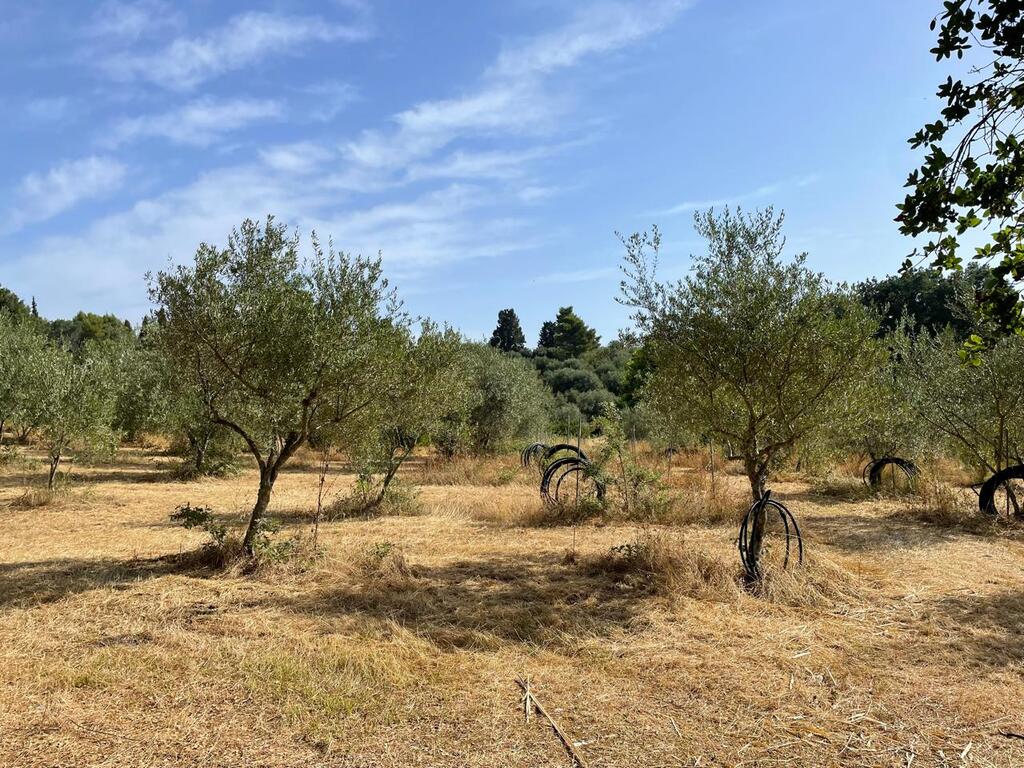 Grundstück in Korfu, Griechenland, 27 750 m² - Foto 1