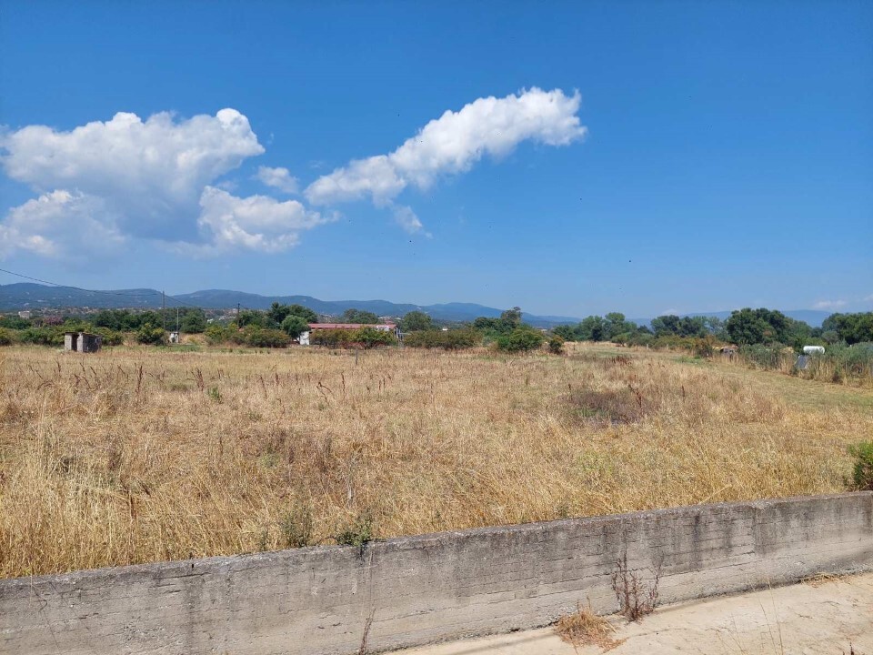 Terrain en Chalcidique, Grèce, 2 542 m² - image 1