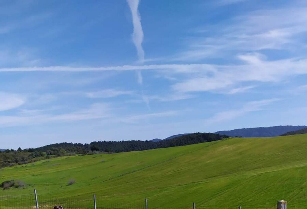 Terreno en Calcídica, Grecia, 5 000 m² - imagen 2