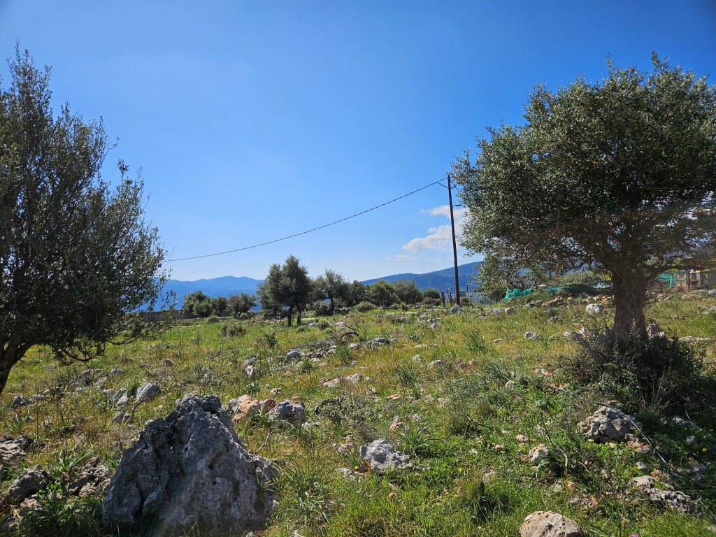 Land in Heraklion, Greece, 2 454 m² - picture 3