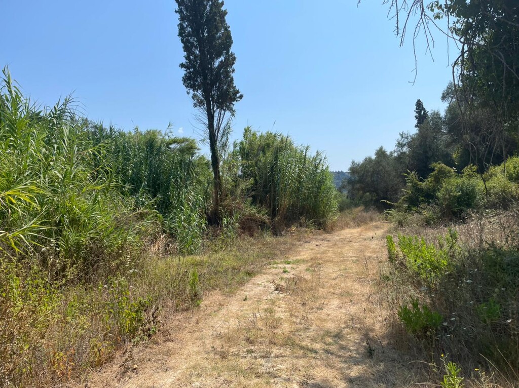 Grundstück in Korfu, Griechenland, 11 450 m² - Foto 3