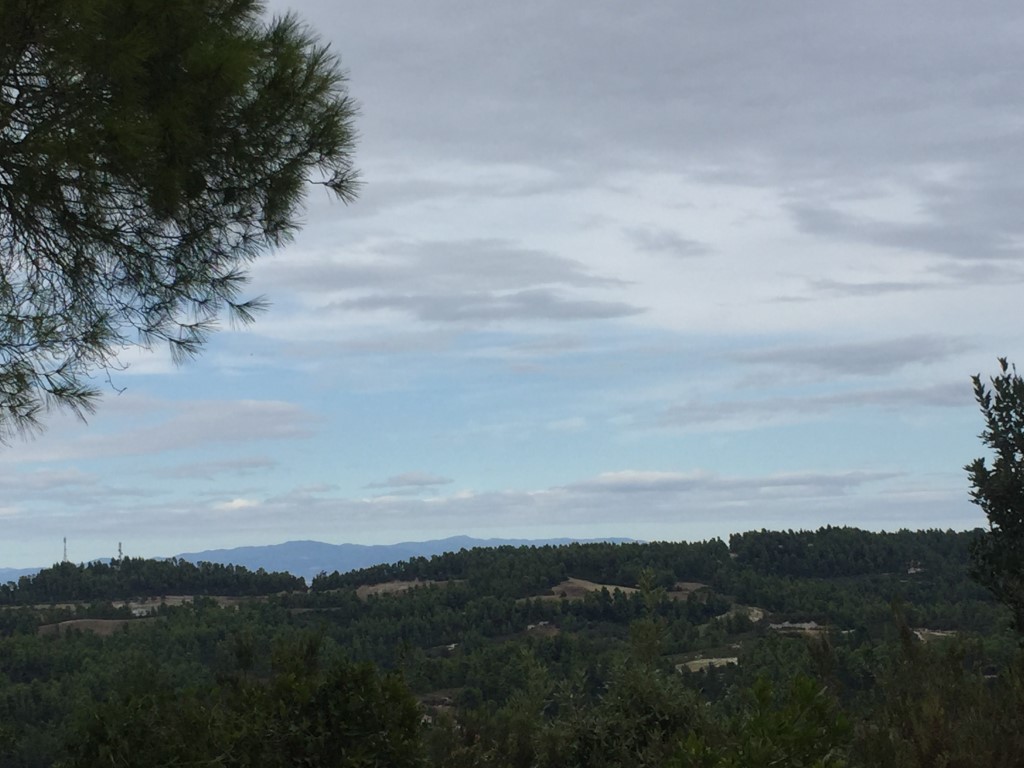 Grundstück in Kassandra, Griechenland, 13 000 m² - Foto 4