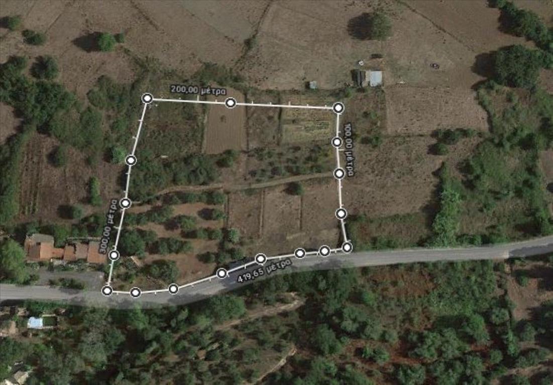 Land in Corfu, Greece, 10 500 m² - picture 5