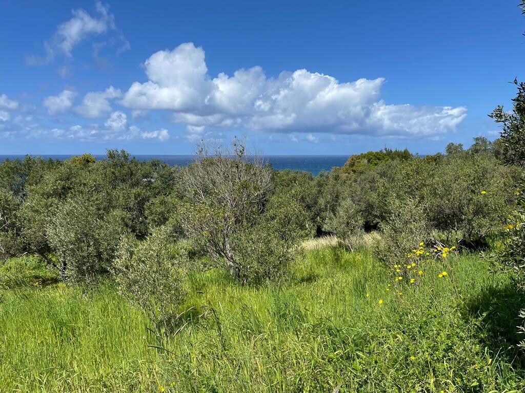 Terreno a Corfù, Grecia, 9 150 m2 - foto 6