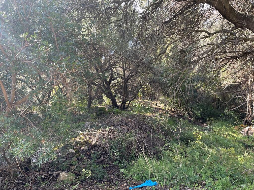 Land in Corfu, Greece, 4 000 m² - picture 8