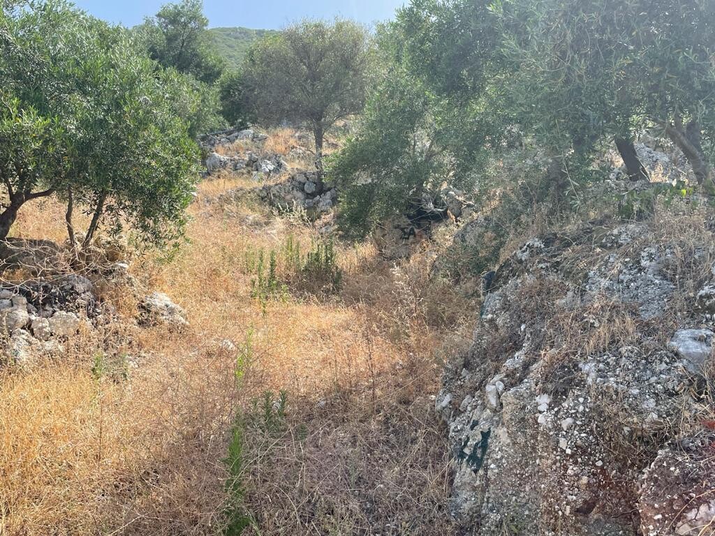 Terrain à Corfou, Grèce, 4 800 m² - image 11