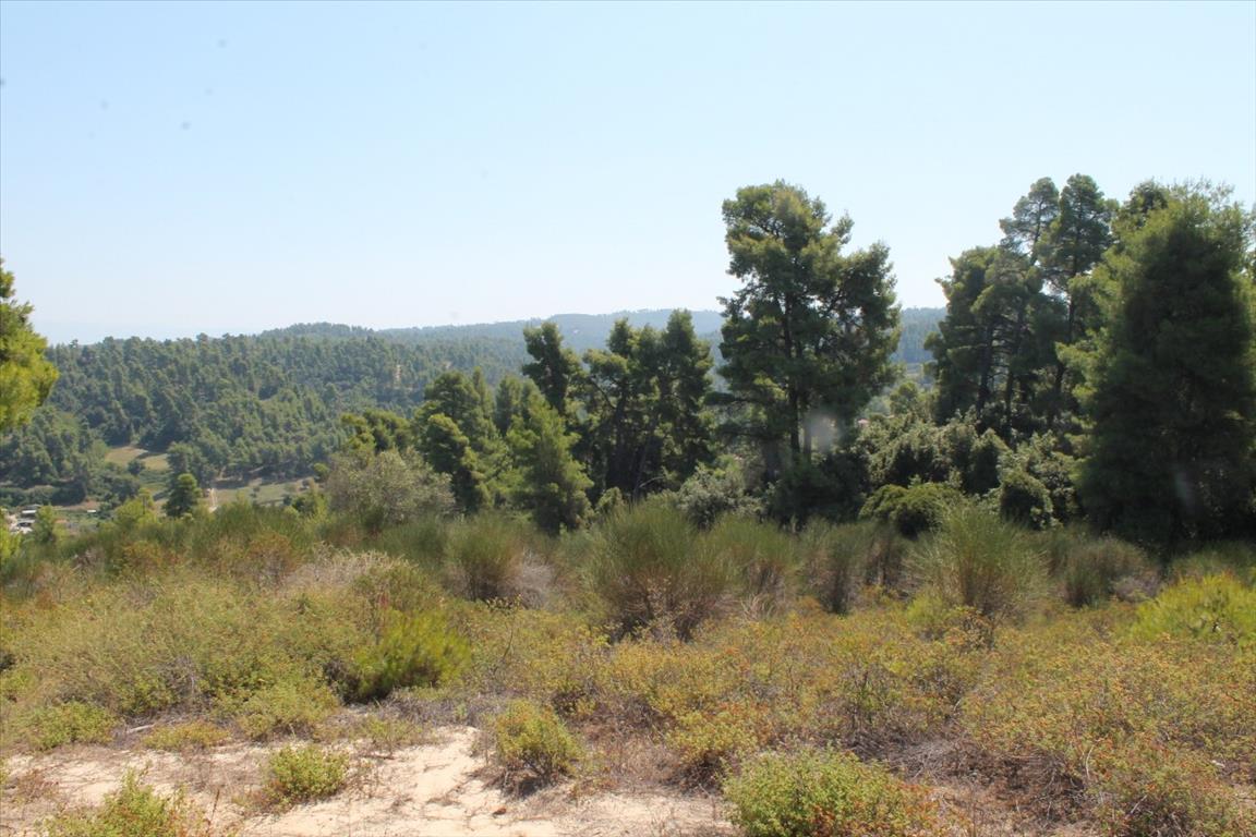 Grundstück in Kassandra, Griechenland, 13 000 m² - Foto 11