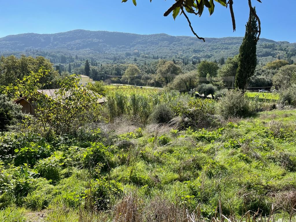 Terrain à Corfou, Grèce, 5 500 m² - image 13
