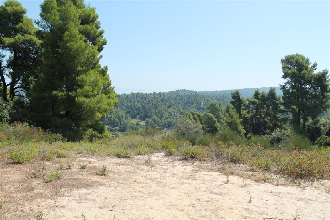 Grundstück in Kassandra, Griechenland, 13 000 m² - Foto 13