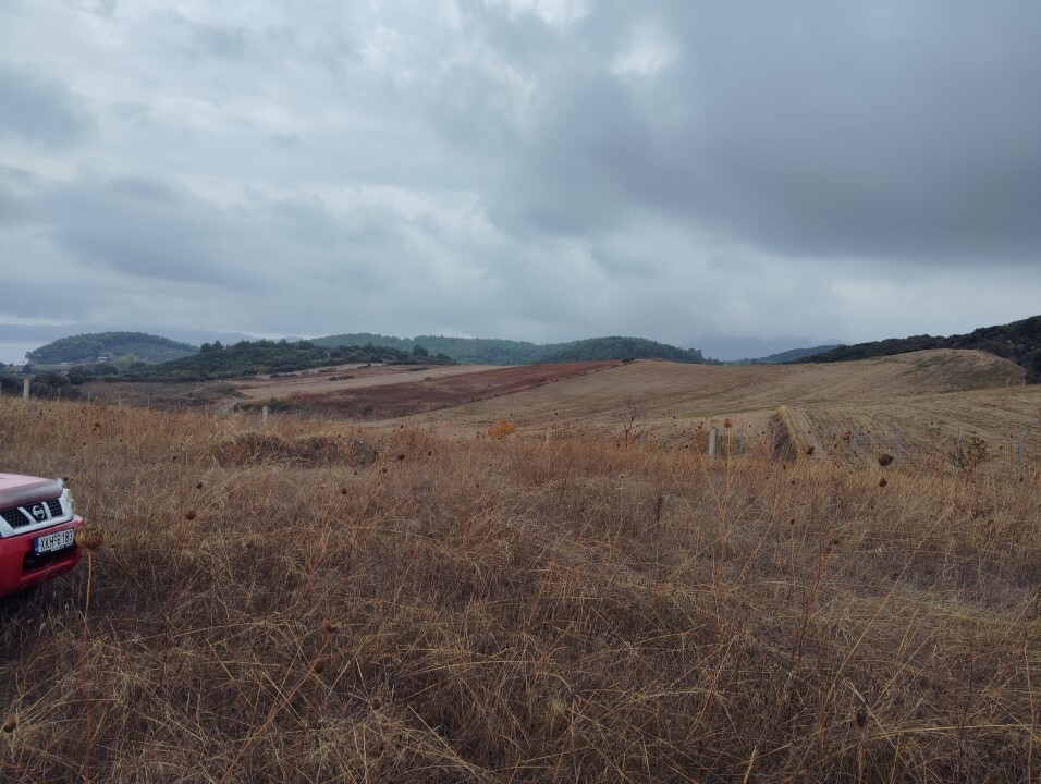 Terreno en Calcídica, Grecia, 5 000 m² - imagen 13