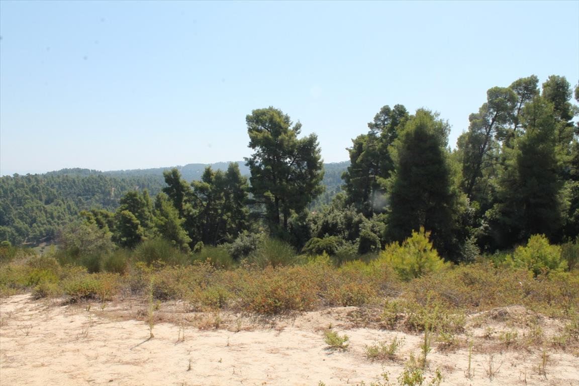 Grundstück in Kassandra, Griechenland, 13 000 m² - Foto 14