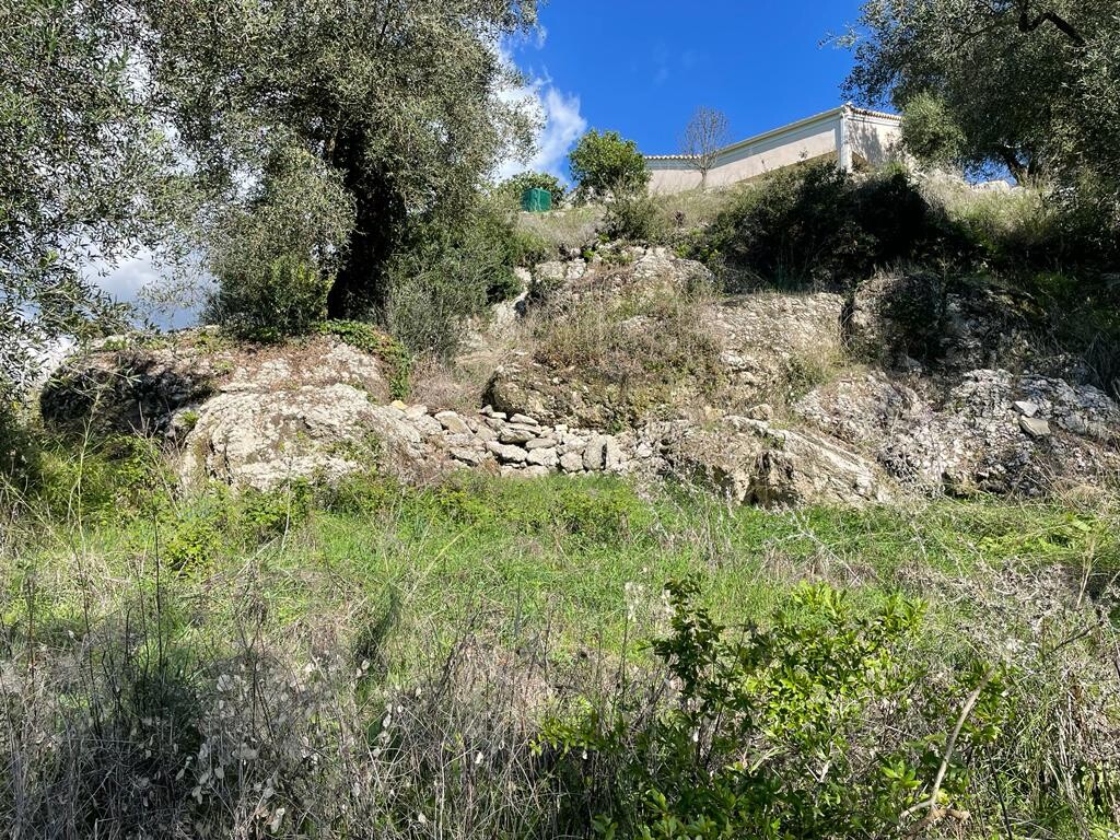 Terrain à Corfou, Grèce, 5 500 m² - image 14