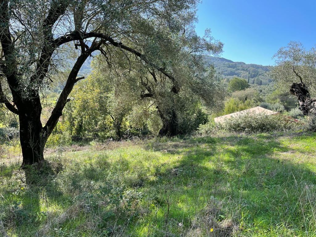 Terrain à Corfou, Grèce, 5 500 m² - image 15