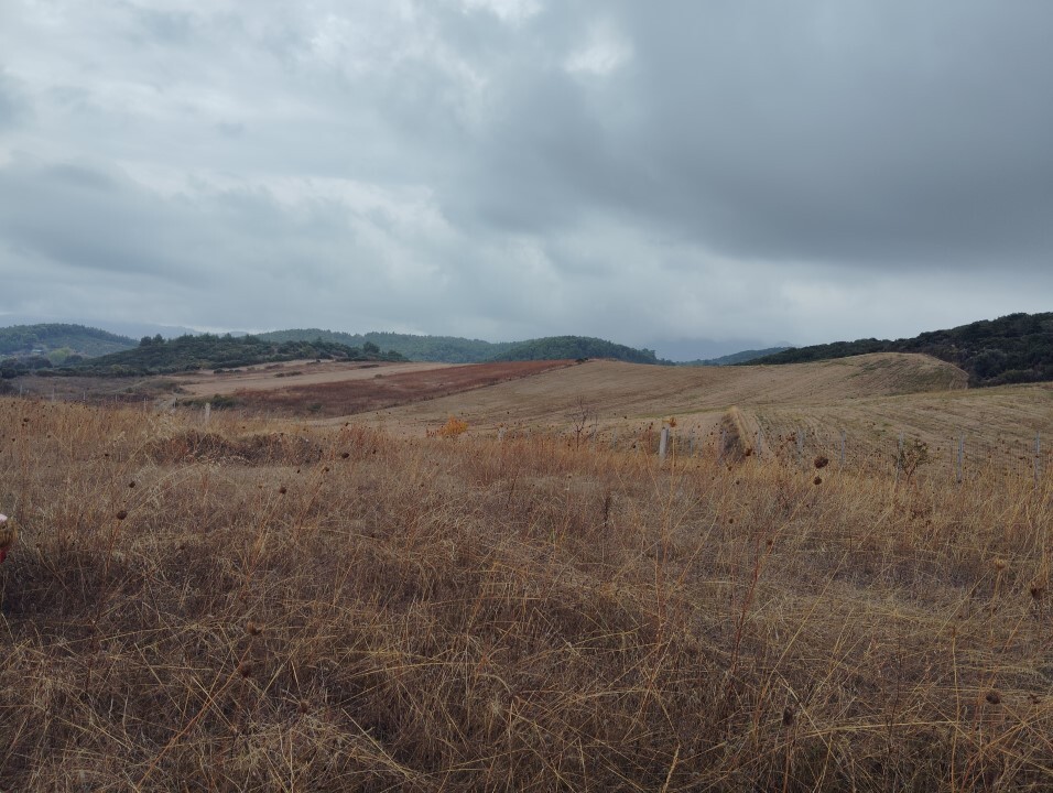 Terreno en Calcídica, Grecia, 5 000 m² - imagen 15