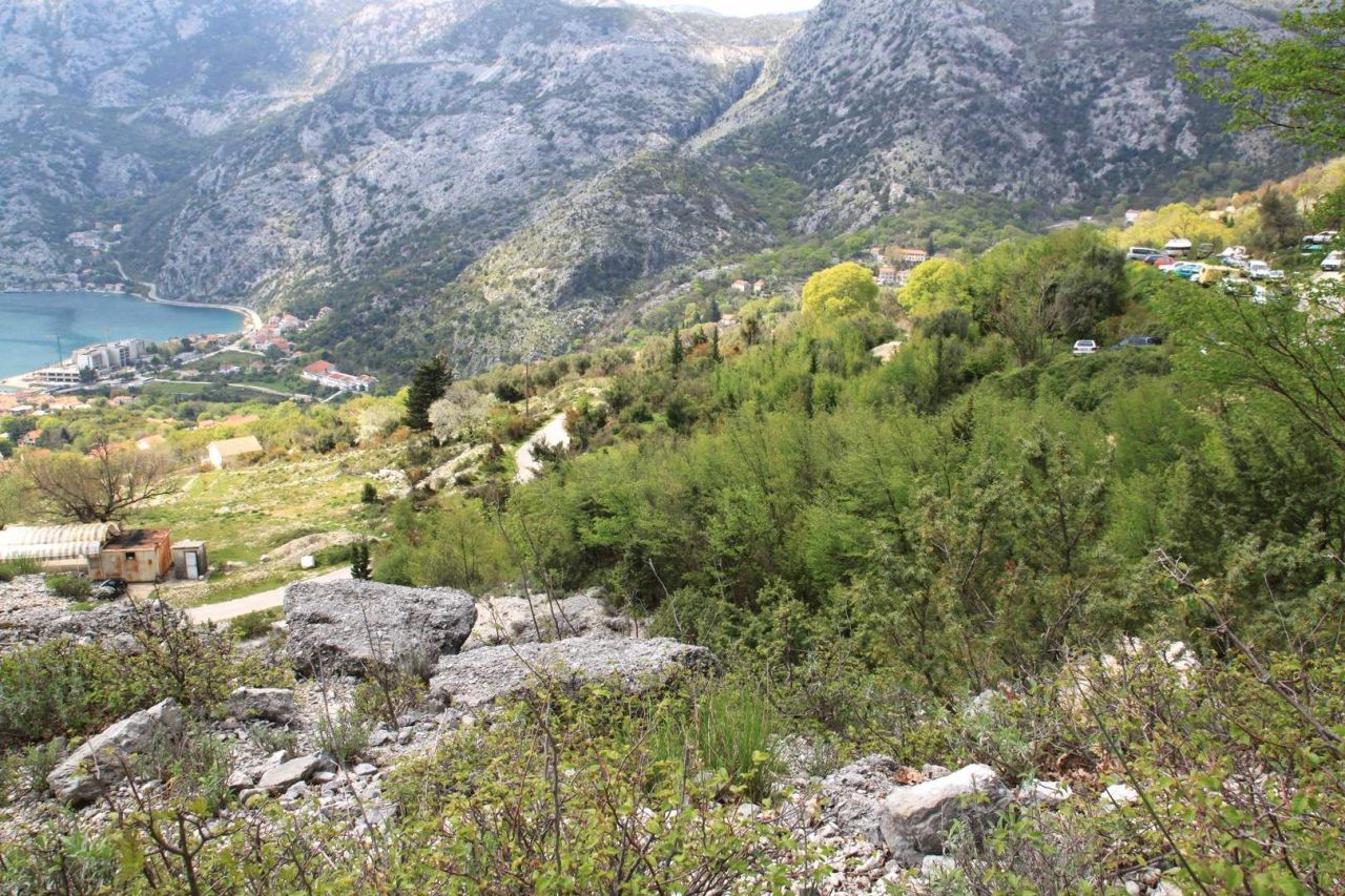 Grundstück in Risan, Montenegro, 42.3 ar - Foto 5