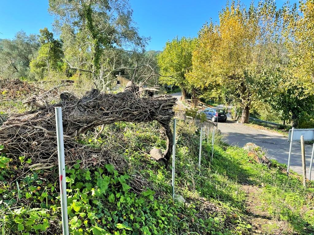 Terrain à Corfou, Grèce, 5 500 m² - image 19