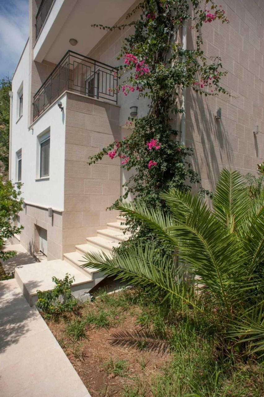 Haus in Petrovac, Montenegro, 400 m² - Foto 15