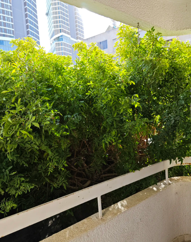 Appartamenti a Limassol, Cipro, 123 m² - foto 14