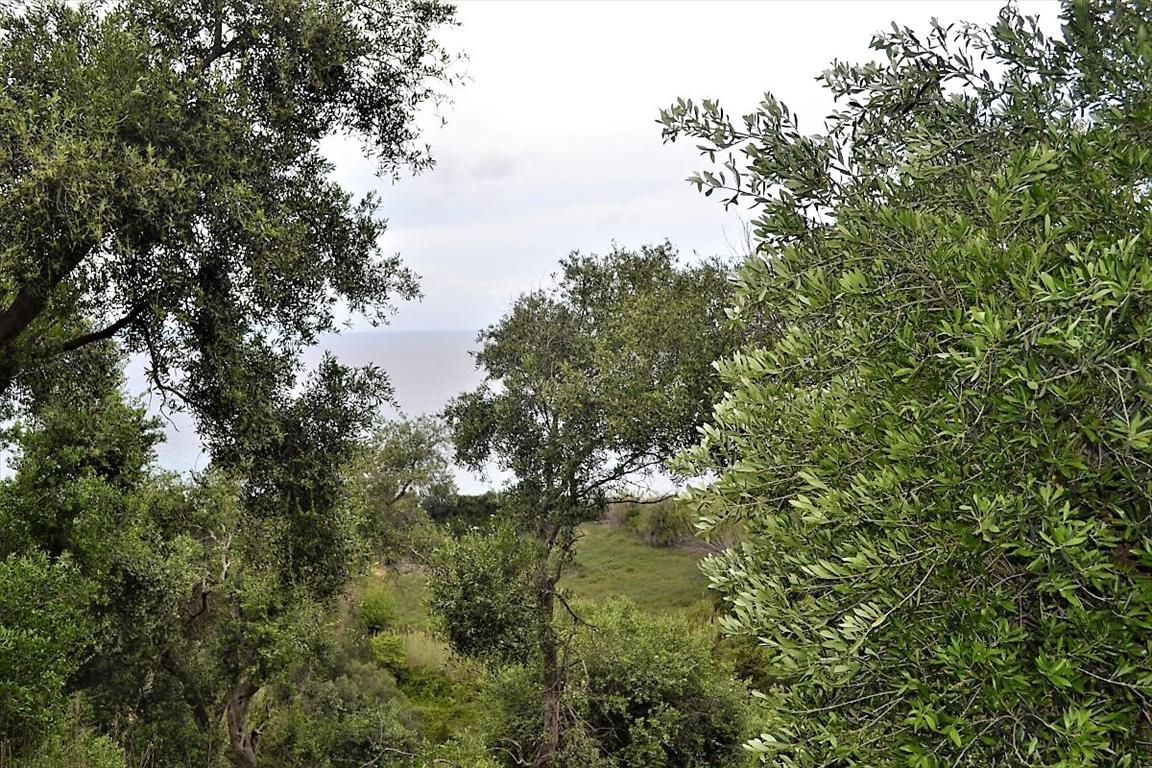 Terreno en Corfú, Grecia, 5 000 m² - imagen 1