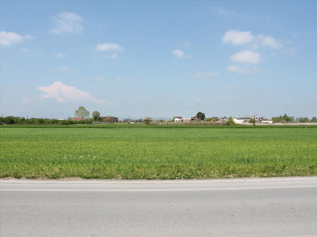 Terrain à Olympiaki Akti, Grèce, 4 500 m² - image 1