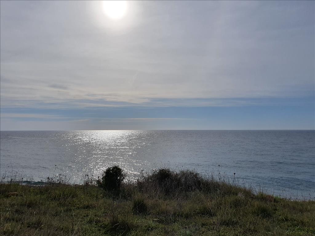 Terreno en Kassandra, Grecia, 10 000 m² - imagen 1
