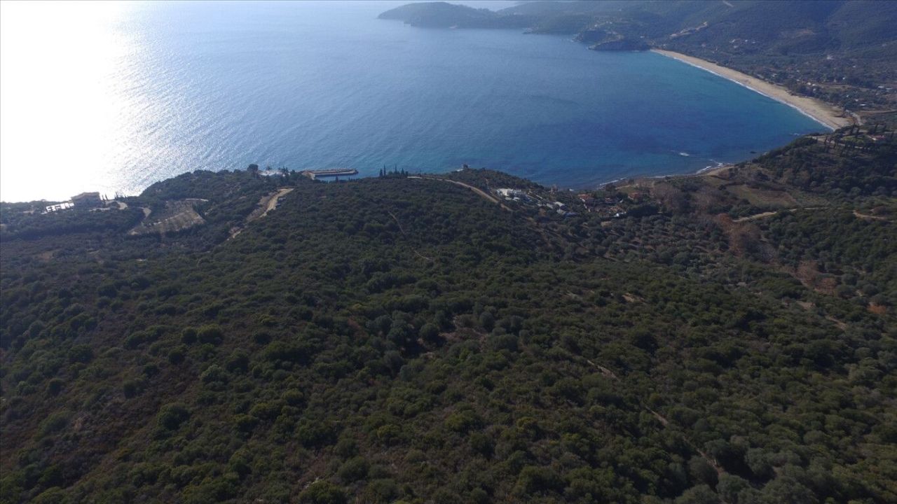 Terrain en Chalcidique, Grèce, 12 415 m² - image 1