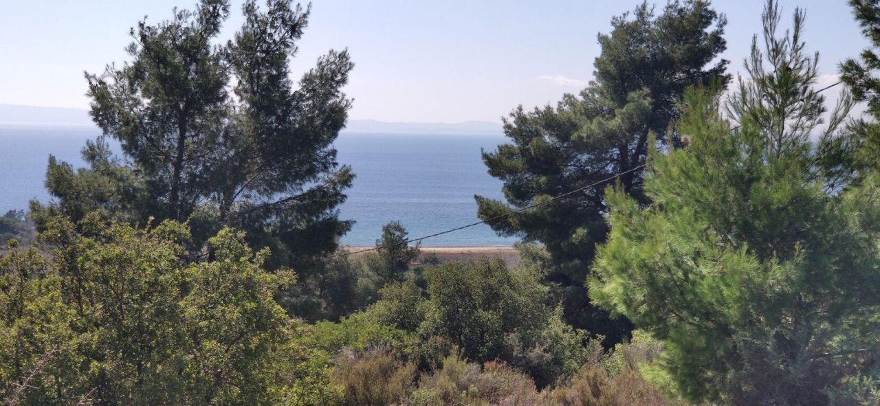 Land in Sithonia, Greece, 4 170 m² - picture 1