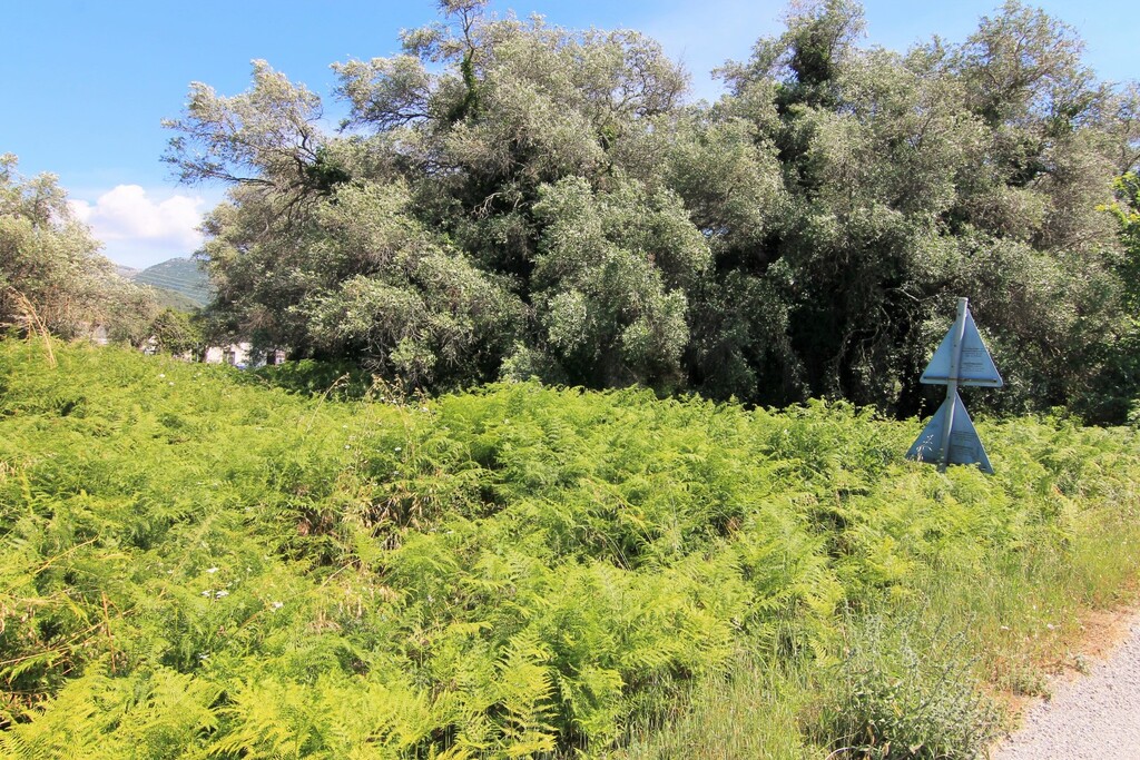 Terreno en Corfú, Grecia, 2 000 m² - imagen 1
