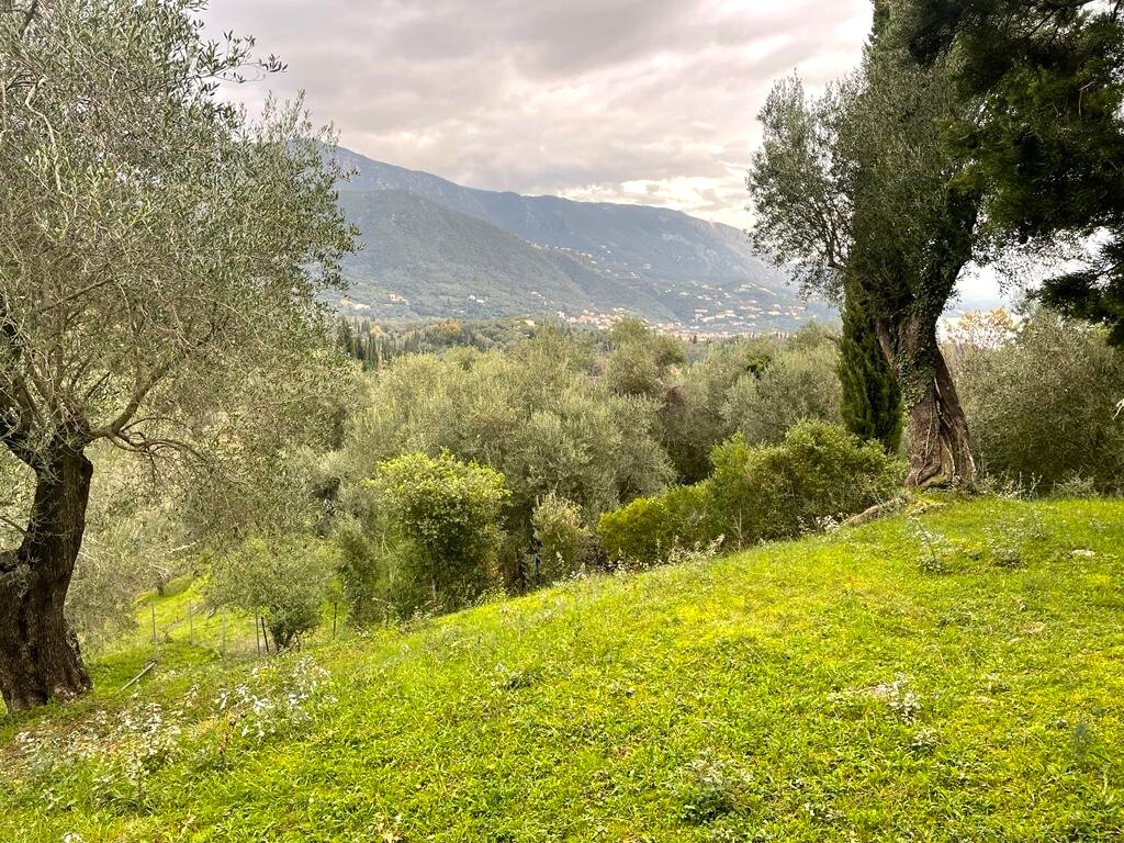 Grundstück in Korfu, Griechenland, 2 463 m² - Foto 1