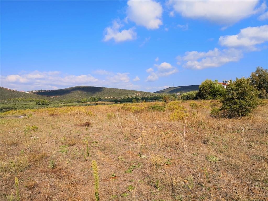 Terreno en Sitonia, Grecia, 30 600 m² - imagen 1