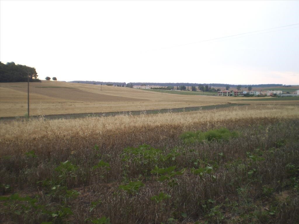 Land in Kassandra, Greece, 4 285 m² - picture 1