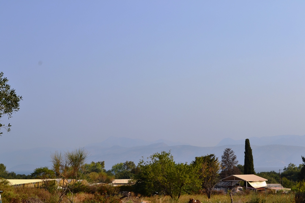 Land in Corfu, Greece, 6 500 m² - picture 1