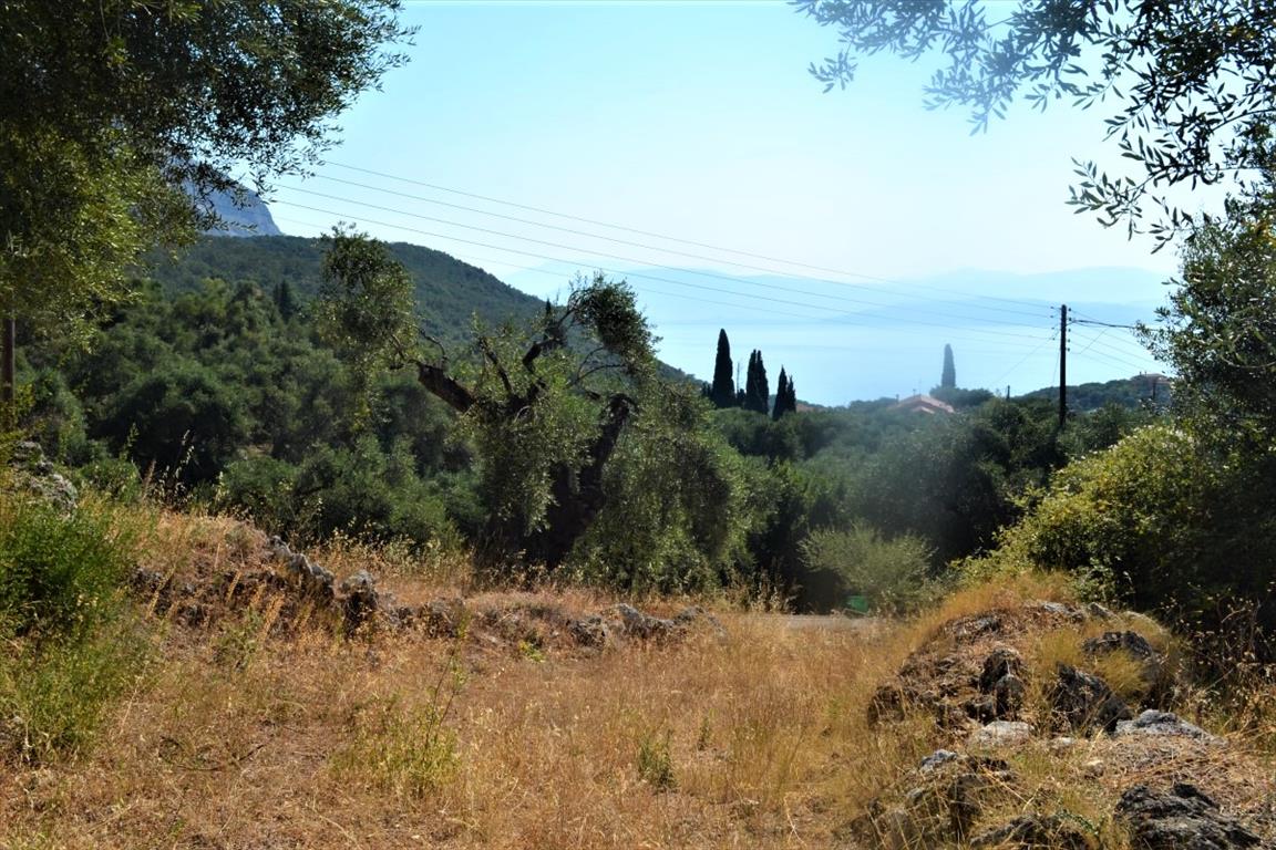 Land in Corfu, Greece, 5 000 m² - picture 1