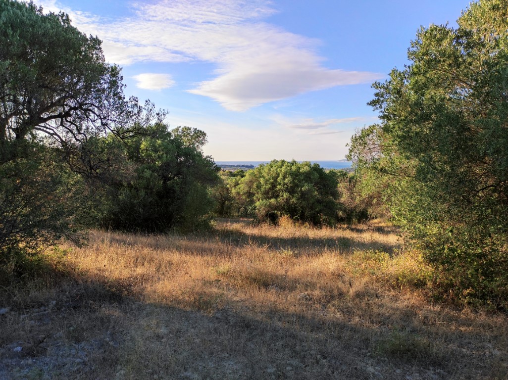 Terrain à Kassandra, Grèce, 5 500 m² - image 1