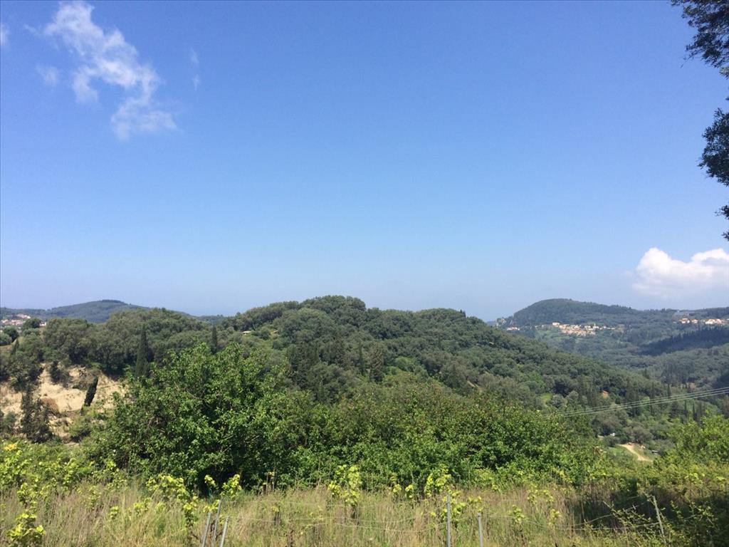 Land in Corfu, Greece, 7 000 m² - picture 1