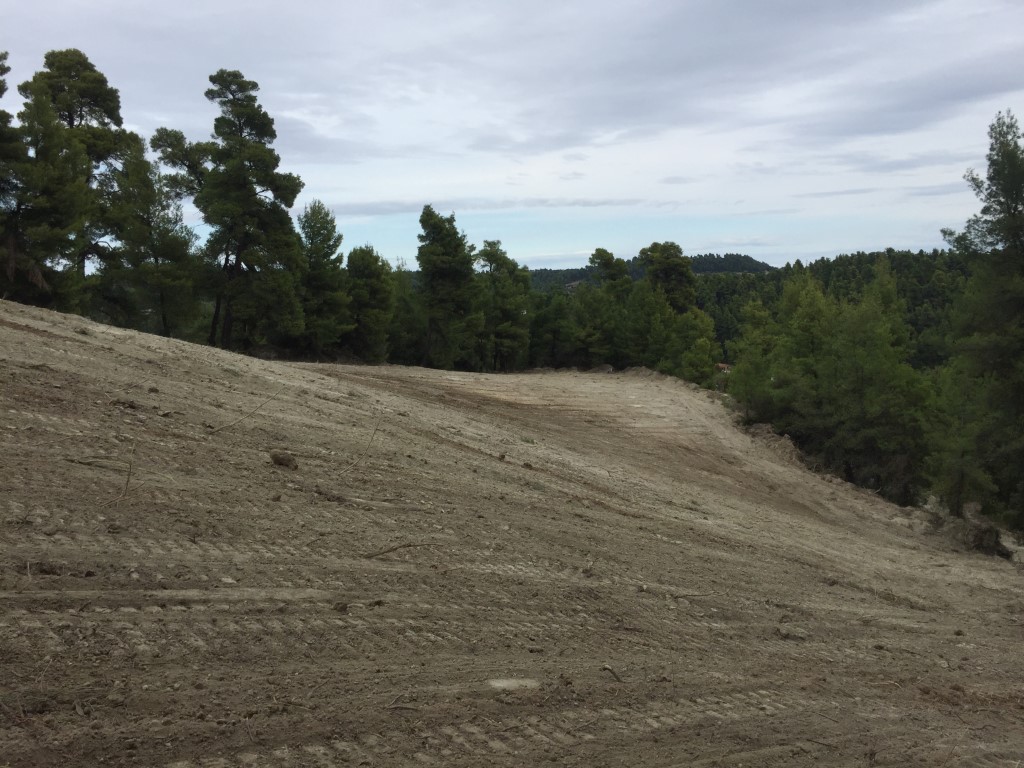 Terrain à Kassandra, Grèce, 13 000 m² - image 1