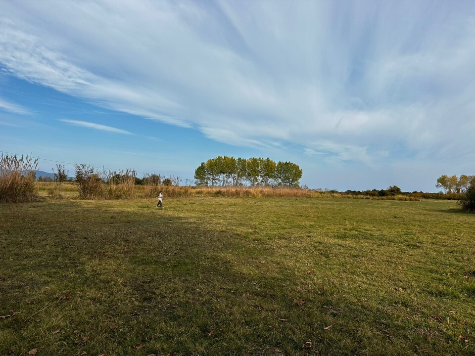 Terrain en Chalcidique, Grèce, 10 000 m² - image 1
