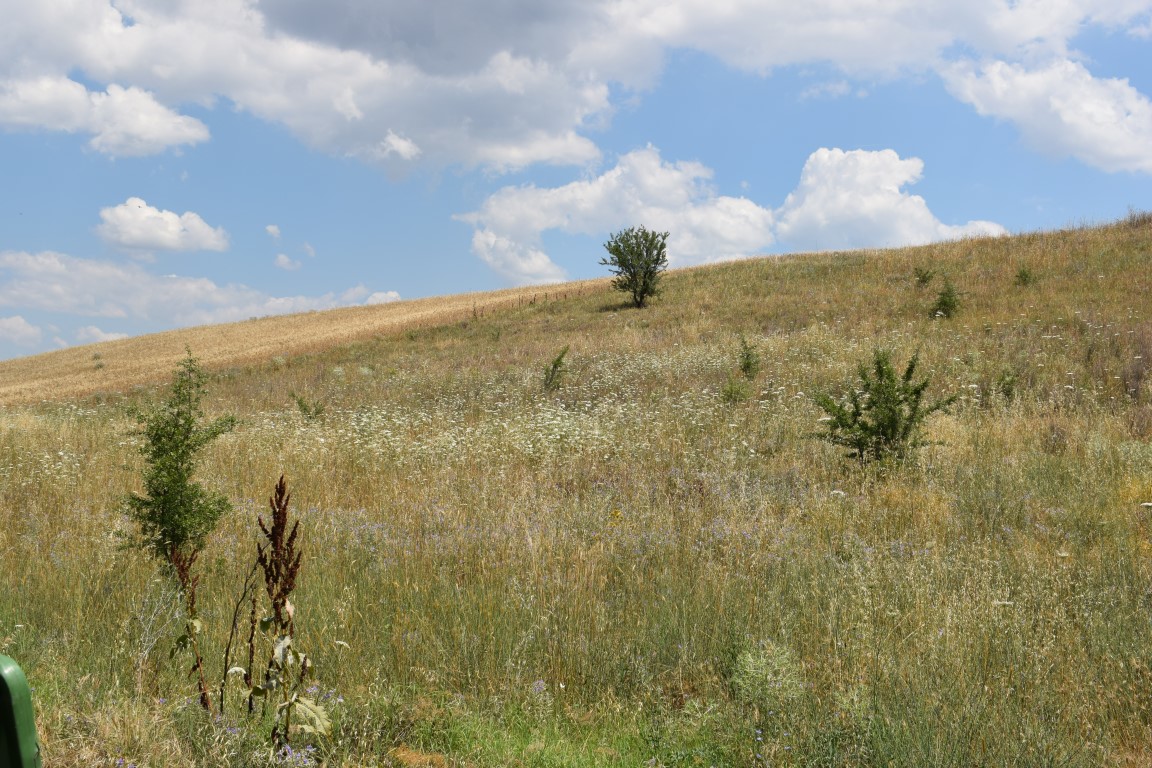 Land in Thessaloniki, Greece, 2 400 m² - picture 1