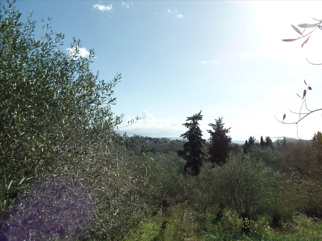 Terreno en Corfú, Grecia, 4 900 m² - imagen 1
