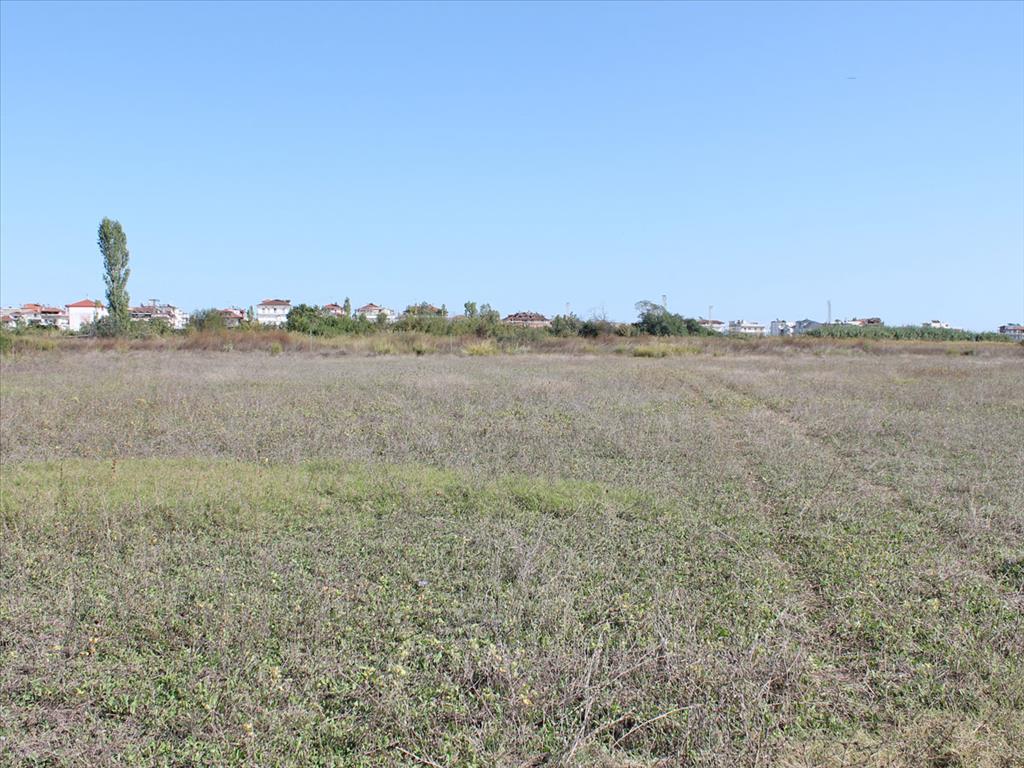Land in Olympiaki Akti, Greece, 7 497 m² - picture 1