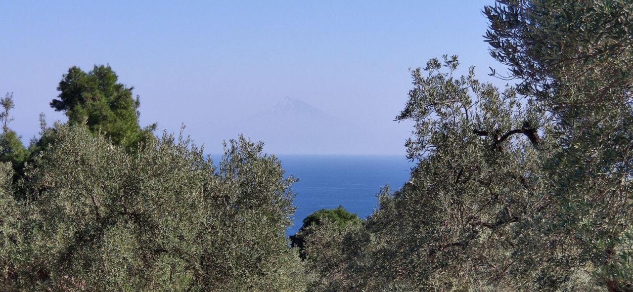 Terreno en Sitonia, Grecia, 9 000 m² - imagen 1