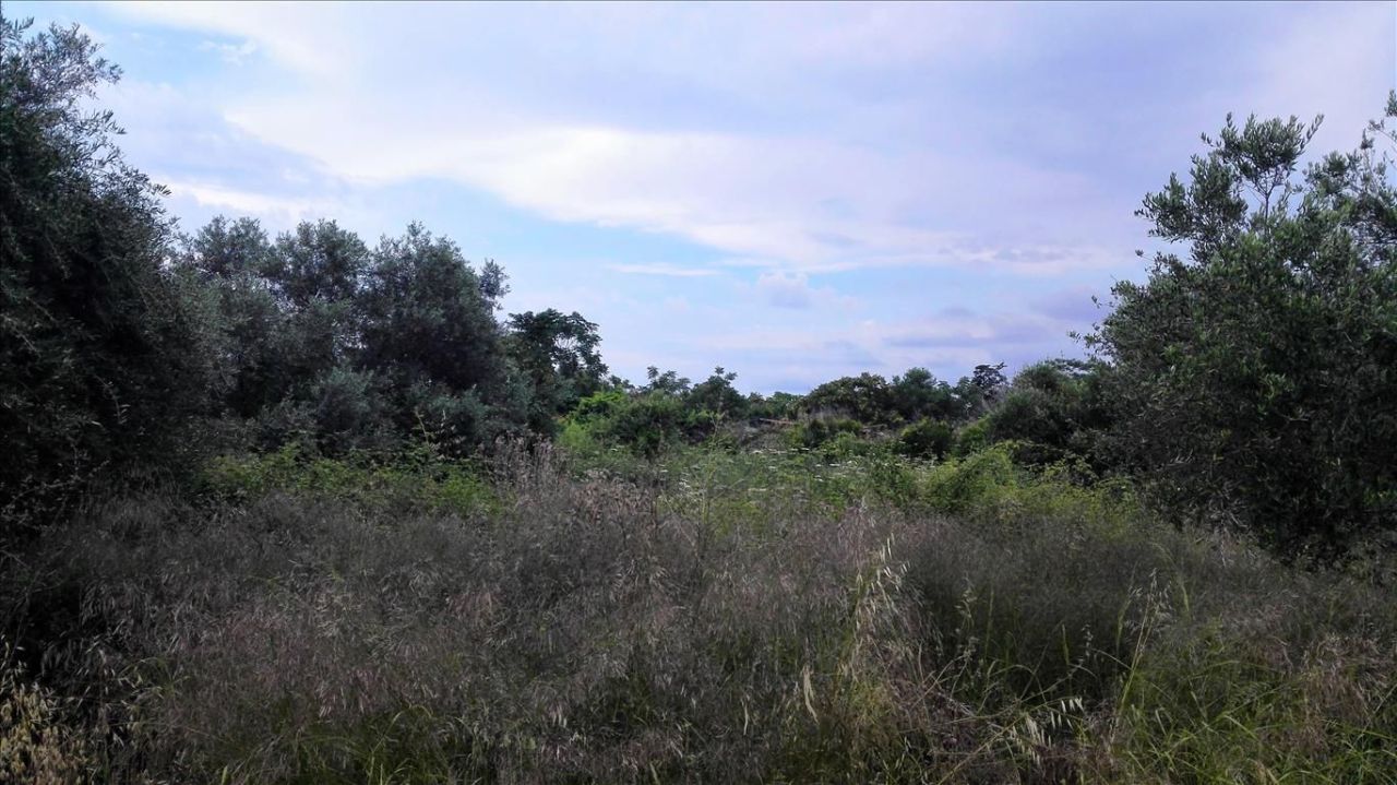 Grundstück in Heraklion, Griechenland, 400 m² - Foto 1